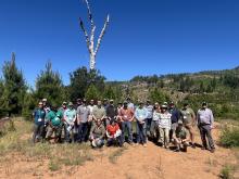 Group photo of meeting participants