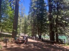 Lunch spot on Jenkinson Lake at Sly Park Recreation Area. 
